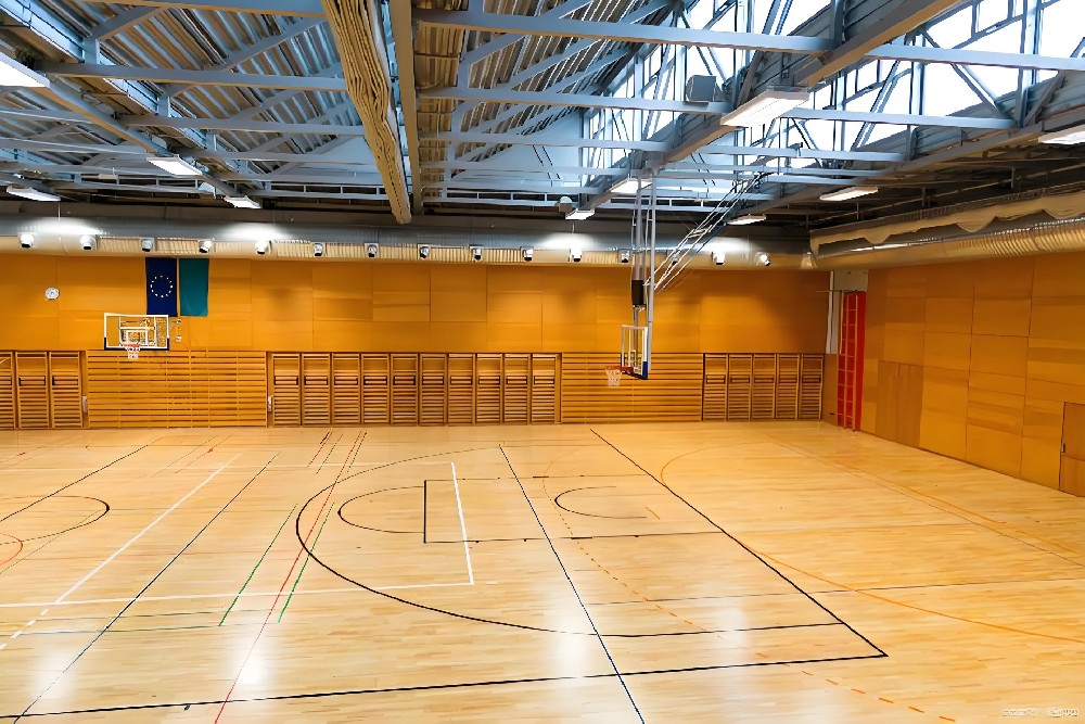 運動(dòng)木地板 運動(dòng)木地板